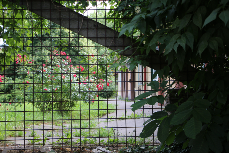 Die „Alte Leute Siedlung“ – ein verlorenes Paradies?