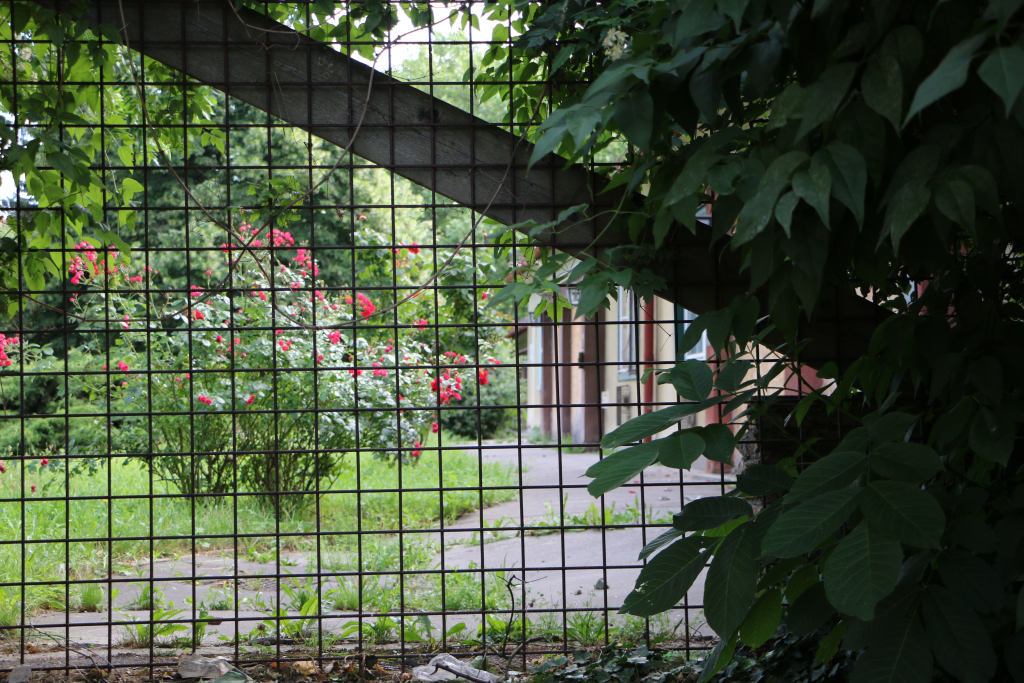 Die Alte Leute Siedlung Ein Verlorenes Paradies Gerhards Place