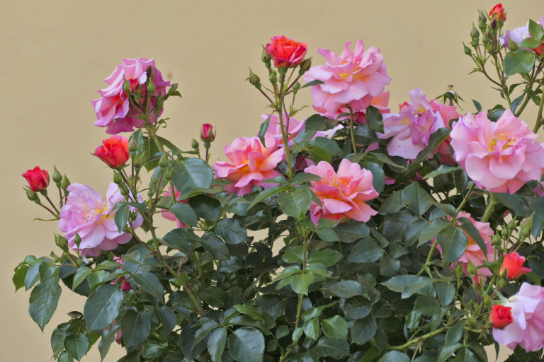 Hotelauswahl (Ustron)